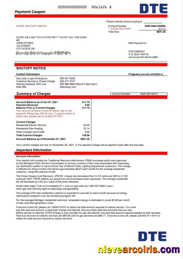 USA Michigan DTE Energy utility bill